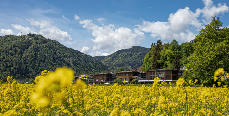 Eine grüne Wiese vorm Hotel eduCARE
