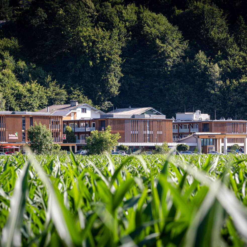 Exterior view at Hotel Educare in summer, surrounded by lush greenery, with a field in the foreground and dense forest behind.