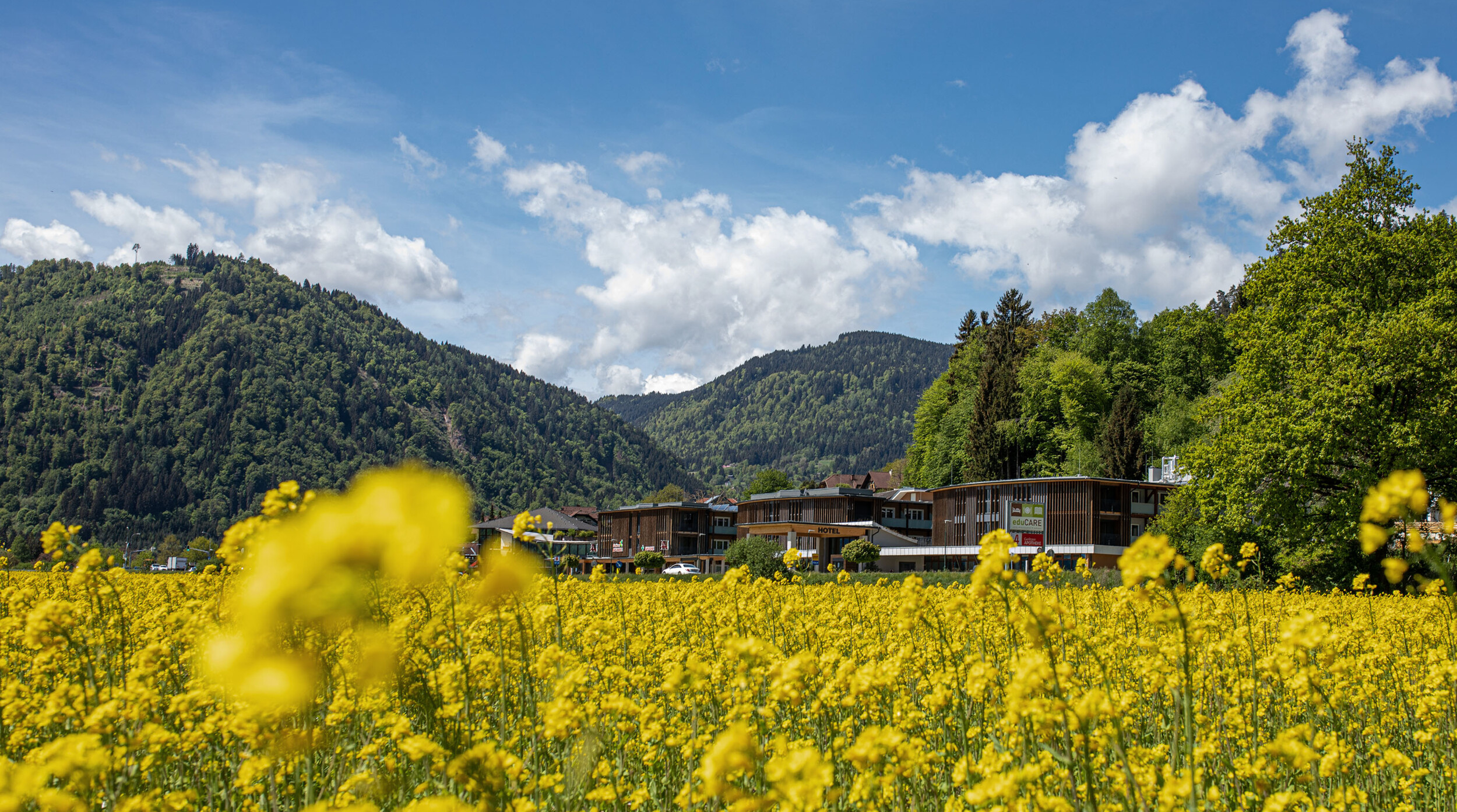 Eine grüne Wiese vorm Hotel eduCARE