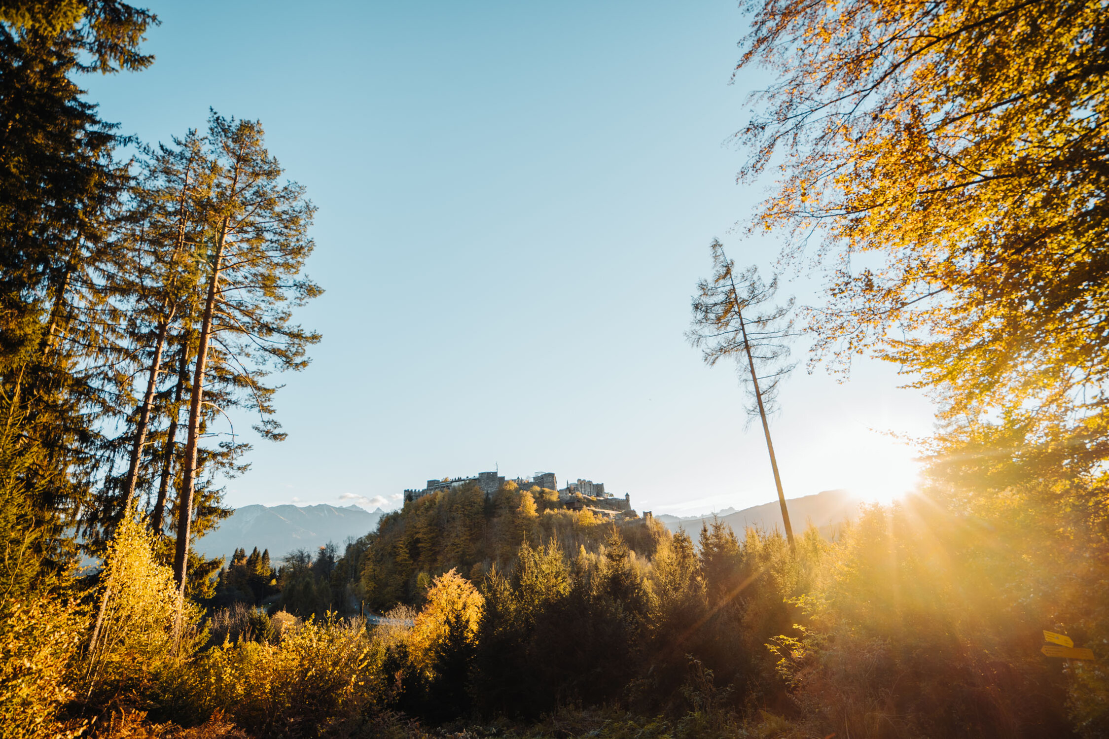 Blick auf die Burg Landskron bei Sonnenlicht.
