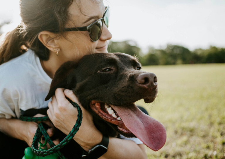 Im Urlaub mit Hund am Ossiacher See sitzt ein weißer Schäferhund am Seeufer