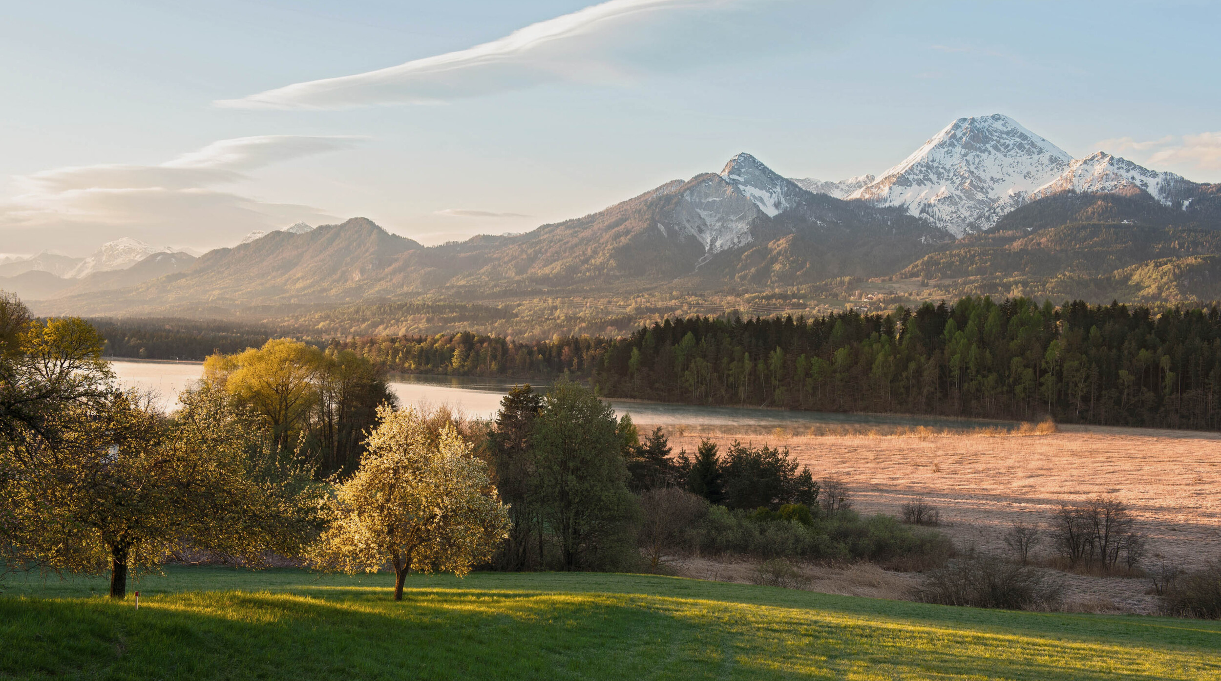 Frühlingswiese mit blühenden Bäumen am See, dahinter ein Wald und schneebedeckte Berge.