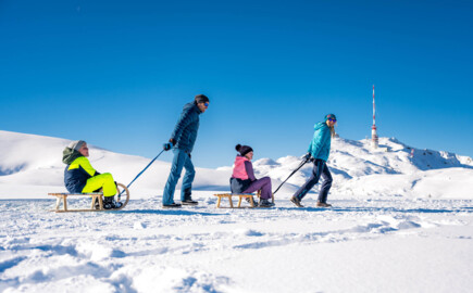 Zwei Erwachsene ziehen zwei Kinder auf Holzschlitten in einer winterlichen Landschaft.