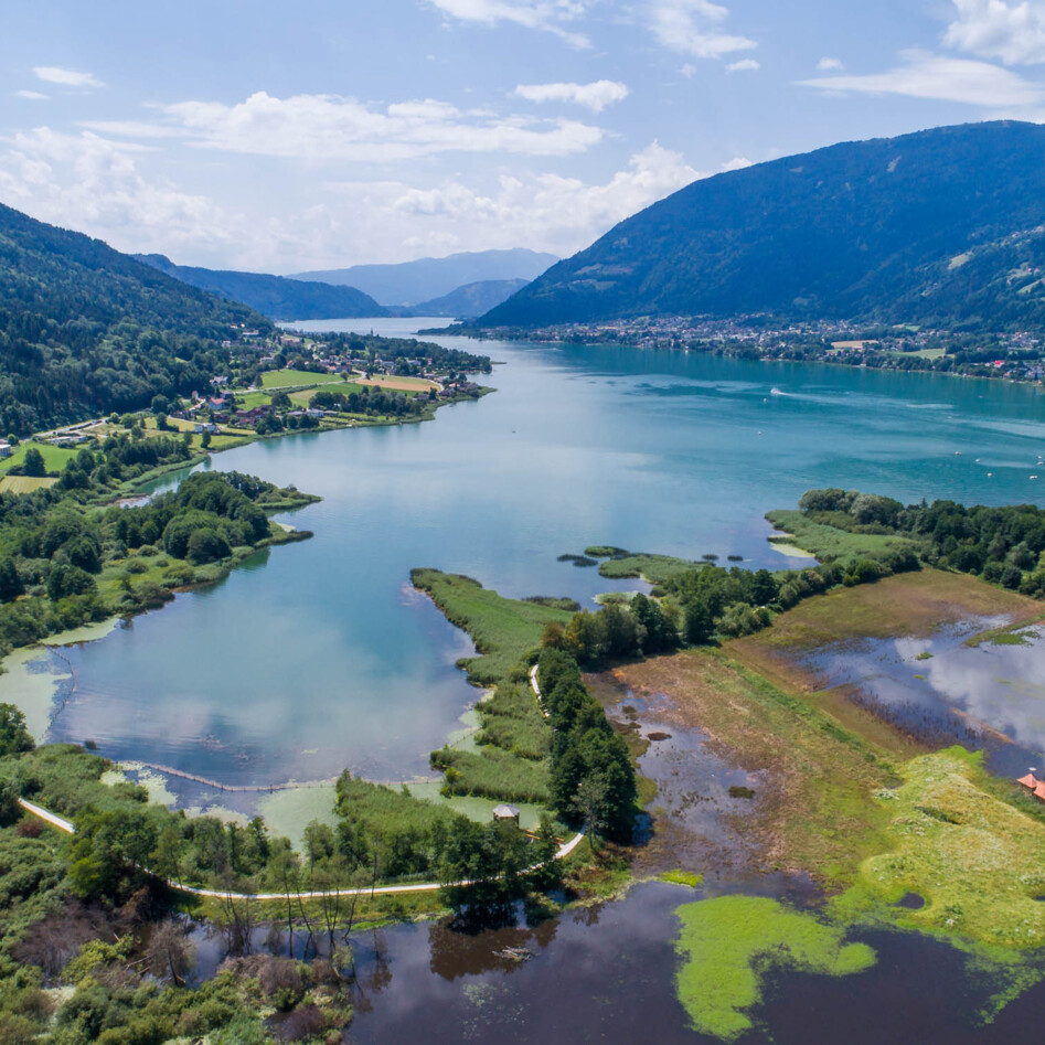 Luftaufnahme vom Bleistätter Moor am Ossiacher See in Villach. 