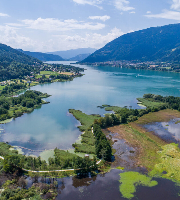 Luftaufnahme vom Bleistätter Moor am Ossiacher See in Villach. 
