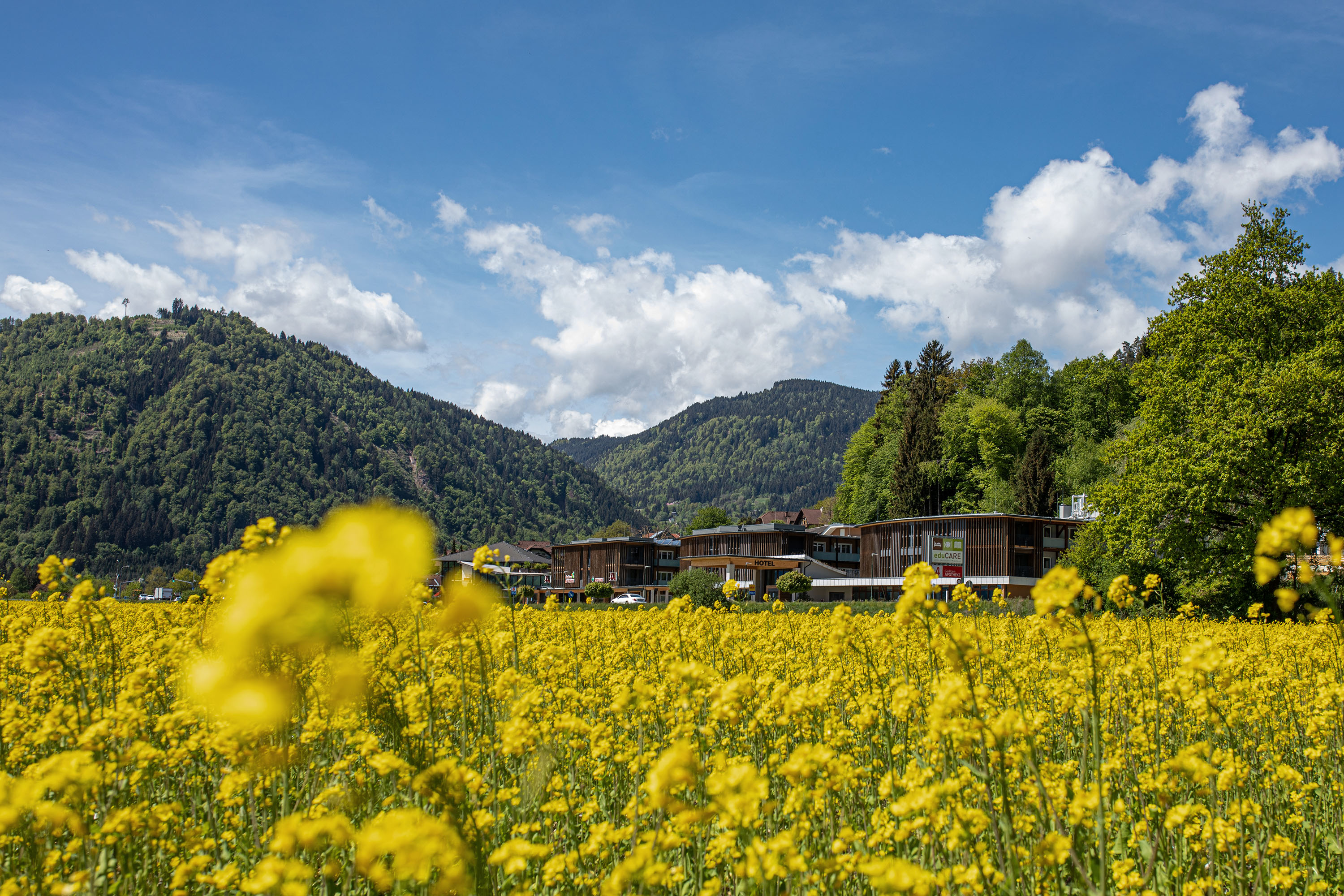 Eine grüne Wiese vorm Hotel eduCARE
