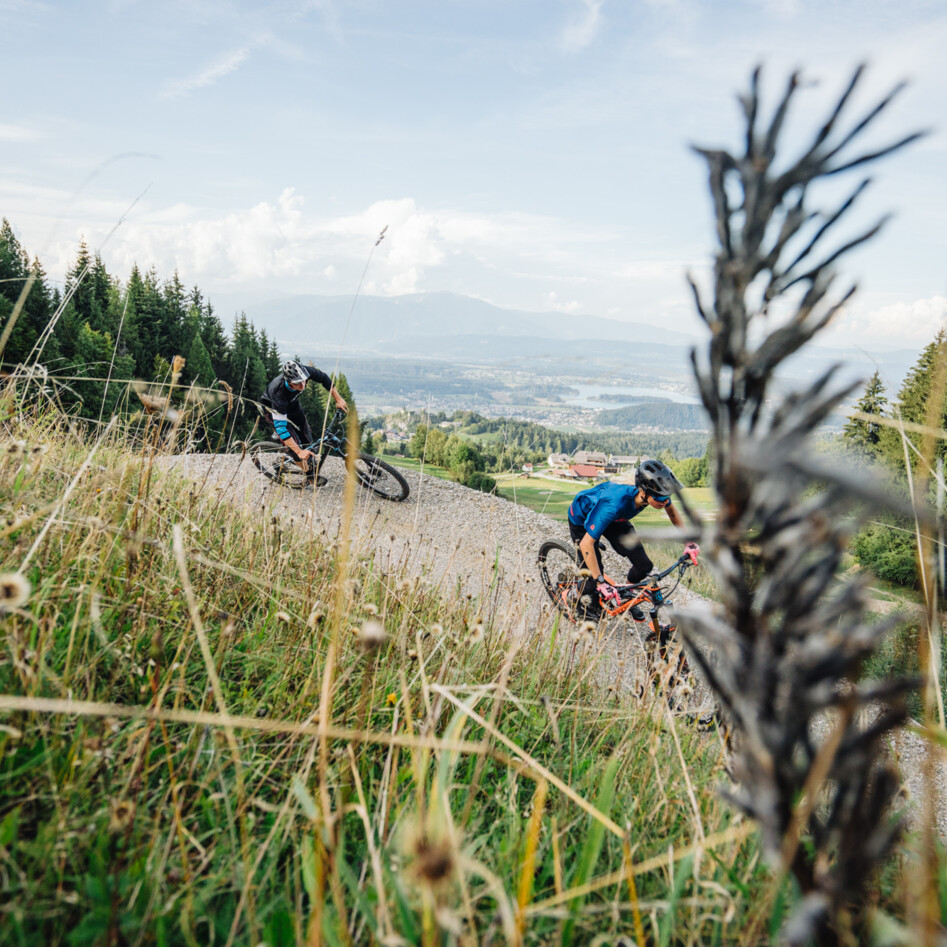 Two mountain bikers navigating a downhill trail.